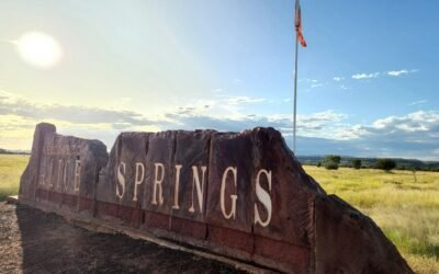 The Best Food Markets in the Northern Territory